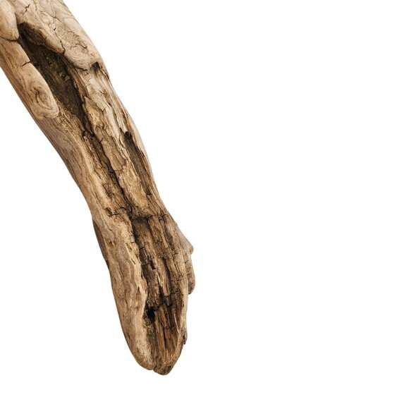 Natural Driftwood Decor Piece For Crafting Aquariums Reptile Tanks Or Rustic Dis - Picture 9 of 14